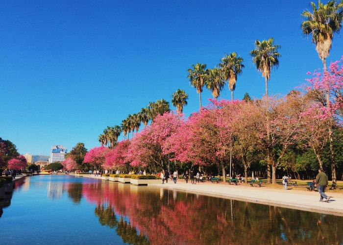 5 Parques em Porto Alegre para Você Conhecer e se Apaixonar